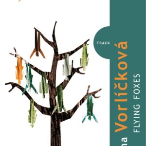 Flying foxes (Vorlíčková Kristýna) (česky)