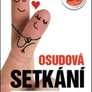 Osudová setkání - 28 povídek vycházejících ze skutečných událostí (česky)