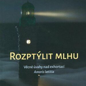 Rozptýlit mlhu - Věcné úvahy nad exhortací Amoris laetitia (Vojtěch Šimek) (česky)
