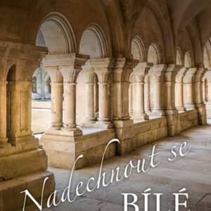 Nadechnout se bílé (Jakub Brdíčko) (česky)