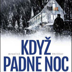 Když padne noc (Jenny Milchman) (česky)