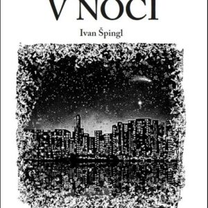 Světla noci (Ivan Špingl) (česky)