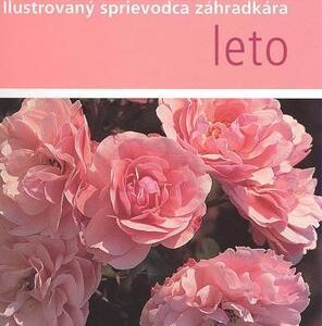 Leto