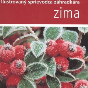Zima (Kolektív autorov)