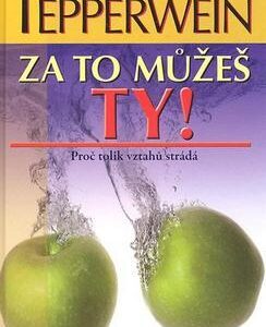 Za to můžeš ty! Proč tolik vztahů strádá (Kurt Tepperwein) (česky)