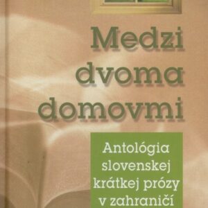 Medzi dvoma domovmi 2 (Kolektív autorov)