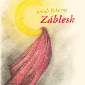 Záblesk (Jakub Pokorný)