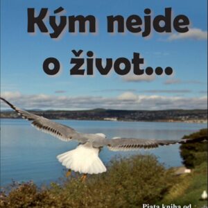 Kým nejde o život... (slovensky) (Lenka Gahérová)