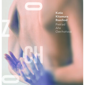 Rozchod (Katie Kitamura)