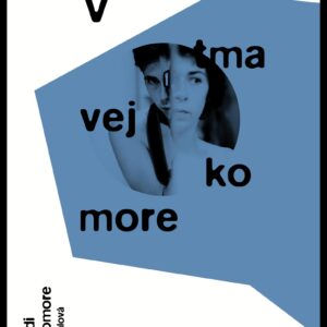 V tmavej komore (Faludi Susan)