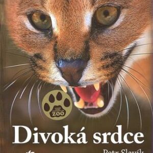 Divoká srdce (Petr Slavík) (česky)