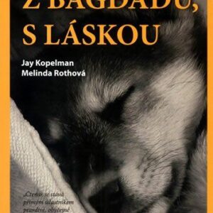 Z Bagdádu, s láskou (Kopelman, Jay) (česky)