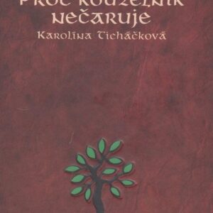 Proč kouzelník nečaruje (Karolína Ticháčková) (česky)