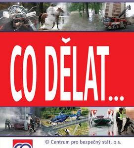 Co dělat... (Centrum pro bez.stát) (česky)