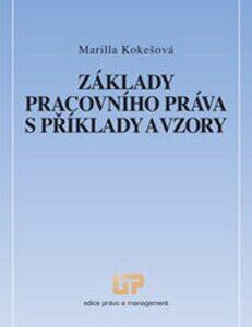 Základy pracovního práva s příklady a vzory (Marille Kokešová) (česky)