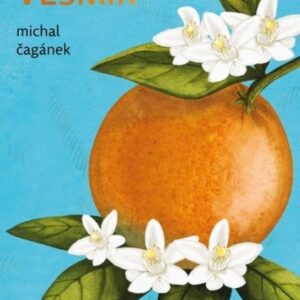 Odložený Vesmír (Michal Čagánek) (česky)