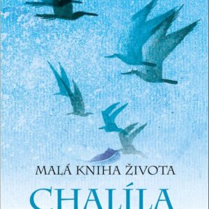 Malá kniha života Chalíla Džibrána (Neil Douglas-Klotz) (česky)