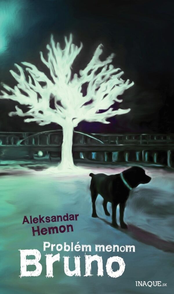 Problém menom Bruno (Aleksandar Hemon)