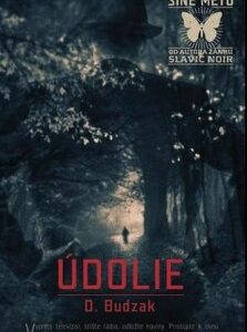 Údolie (Dušan Budzak)