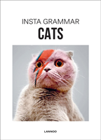 Insta Grammar: Cats (EN)
